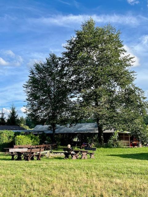 Slonce Mazur Hotel Dzwierzuty Екстериор снимка