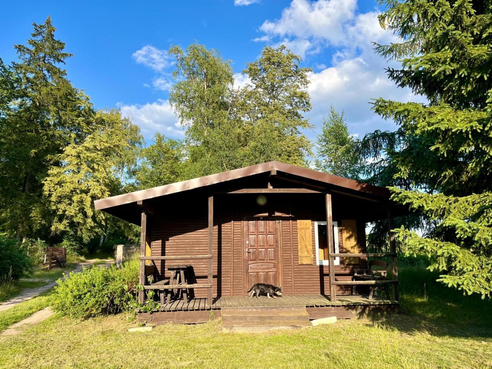 Slonce Mazur Hotel Dzwierzuty Екстериор снимка